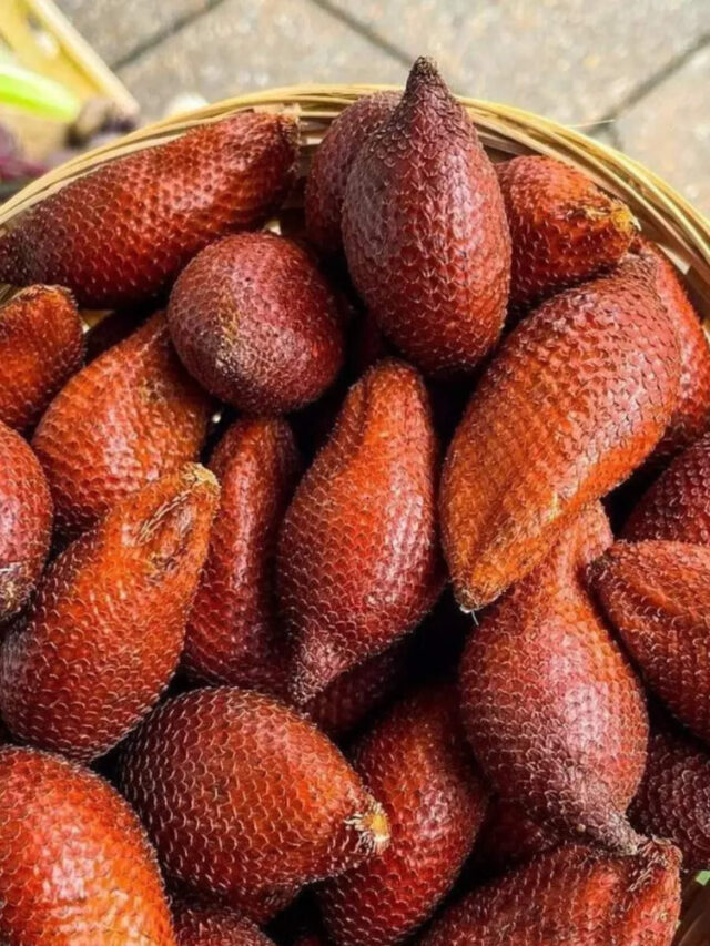 Snake Fruit பற்றி தெரியுமா? பல நன்மைகள் இருக்கு!