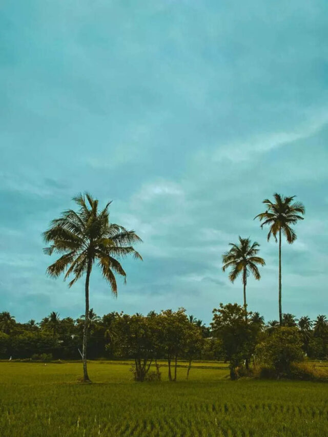 கேரளாவின் அழகிய நகரம்.. பாலக்காட்டில் பார்க்க வேண்டிய சுற்றுலா தளங்கள்