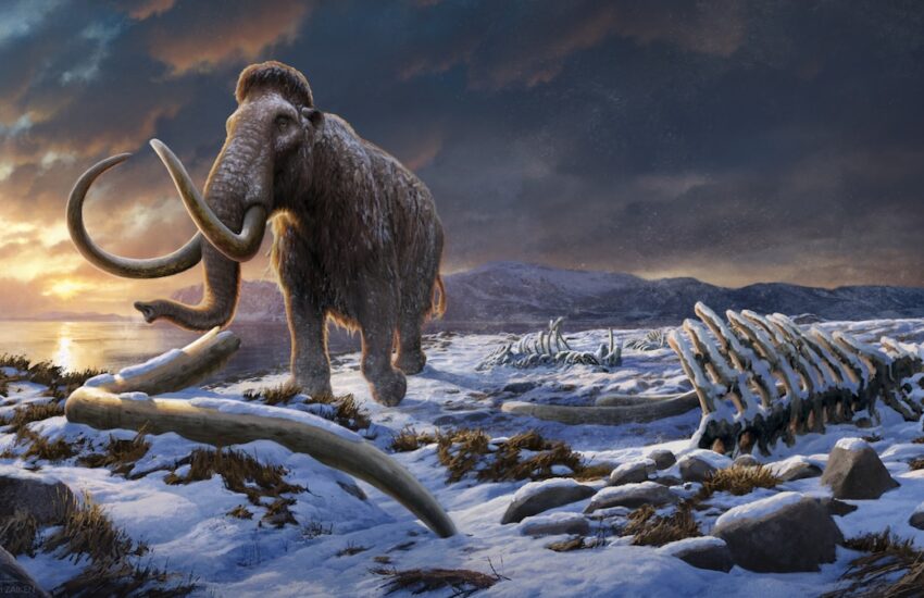 LastWrangelMammoth by Beth Zaiken 16x9